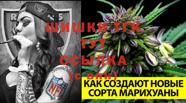 меф Белокуриха