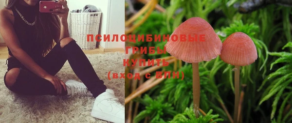 меф Белокуриха