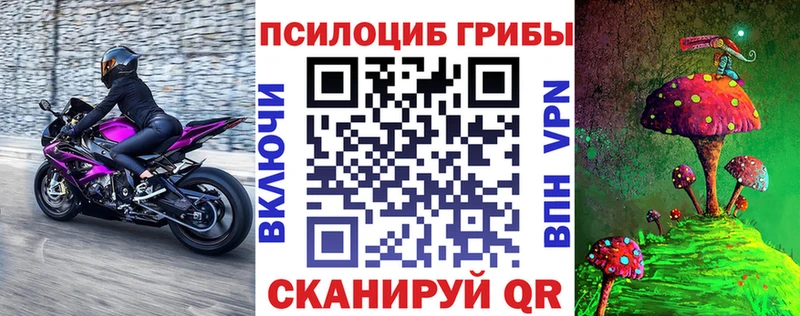 Псилоцибиновые грибы мицелий цена Пыть-Ях